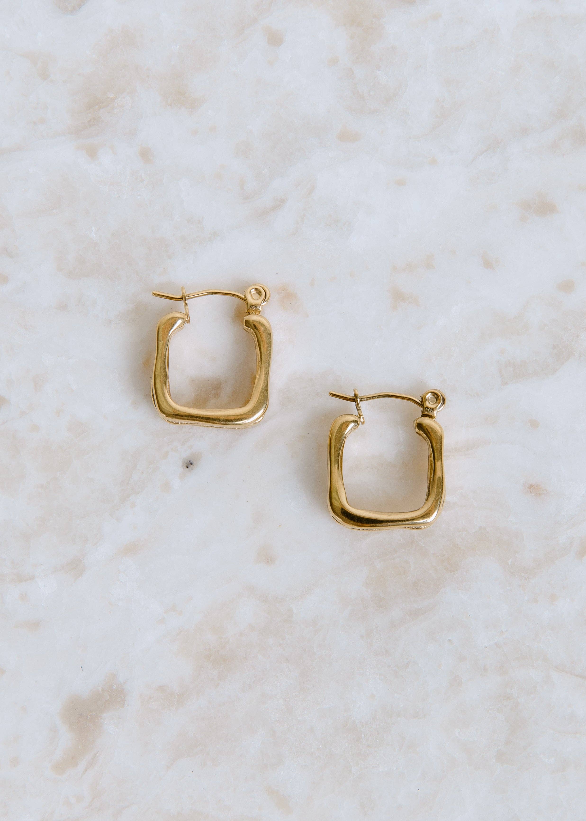 Hollow Earring