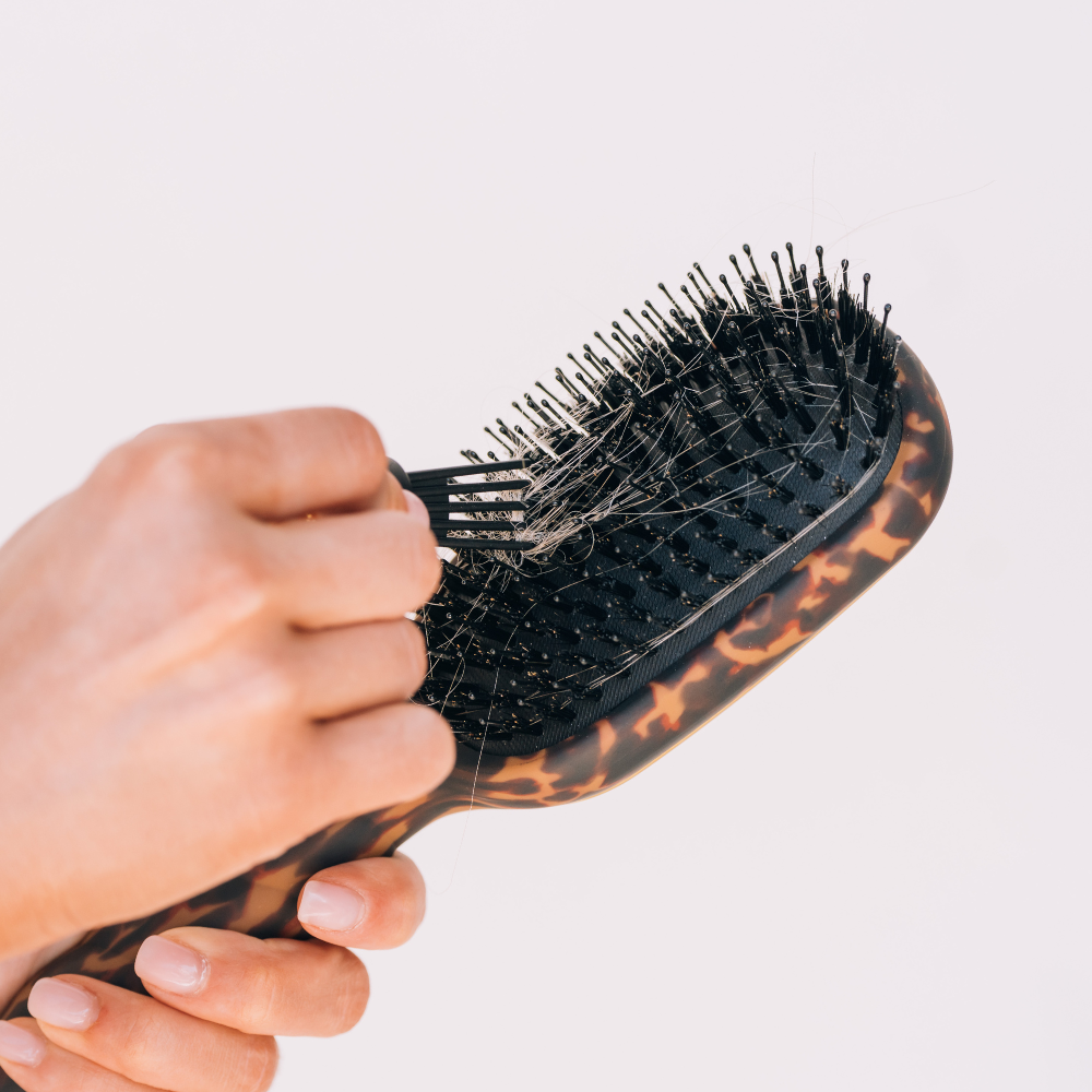 Teleties Boar Brush | Full Size | Tortoise